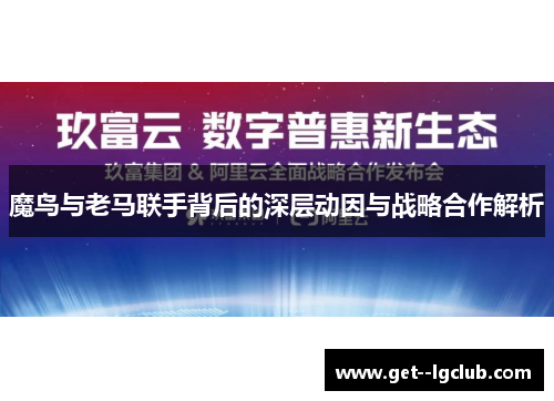 魔鸟与老马联手背后的深层动因与战略合作解析